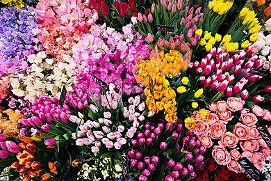 《吸血莱恩1+2加强版》将于11月18日登陆主机平台